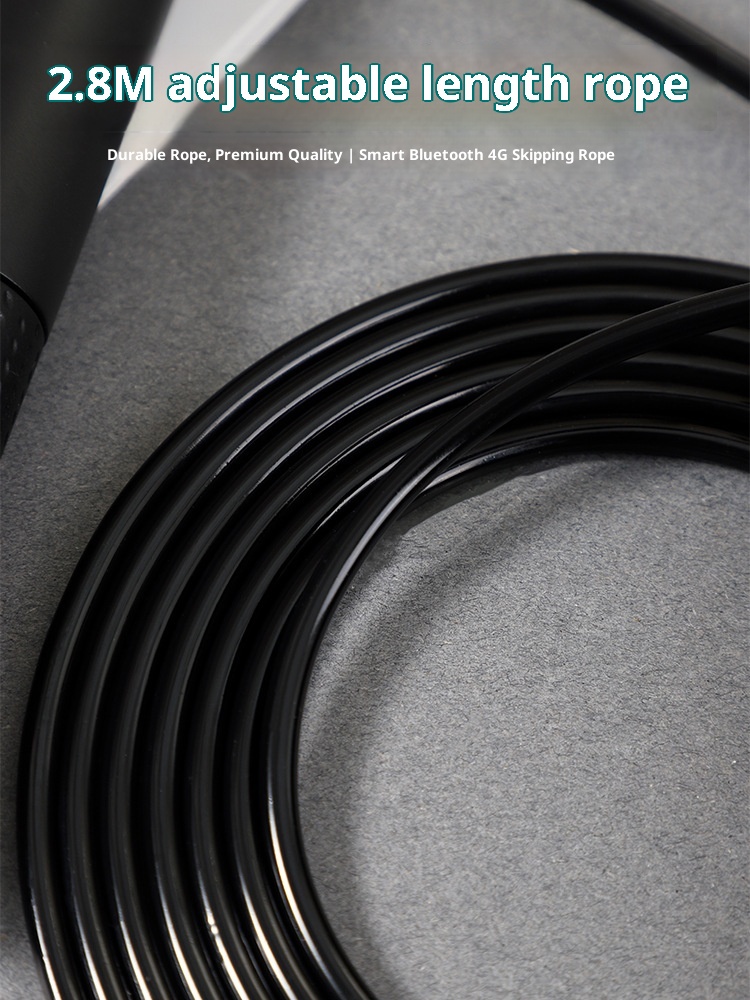 Tali Lompat Pintar Bahan ABS B - Jump Rope Bearing ulasan dan harga