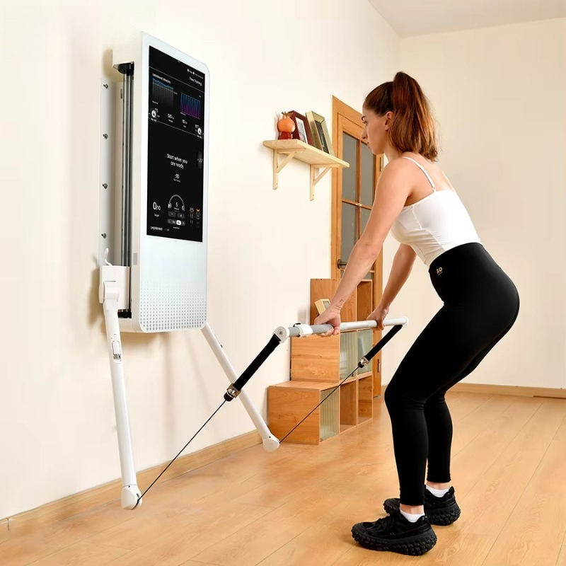 Peralatan Kebugaran Rumah Mult - Home Gym Wall Mounted ulasan dan harga