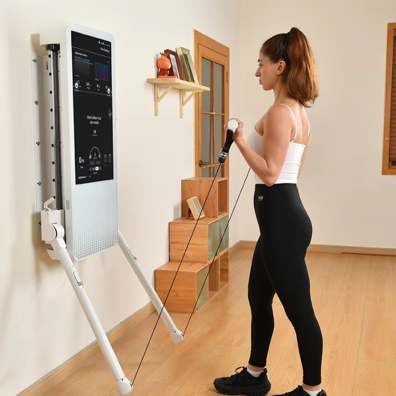 Peralatan Kebugaran Rumah Mult - Home Gym Wall Mounted ulasan dan harga